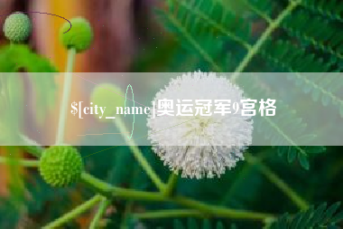 新泰奥运冠军9宫格