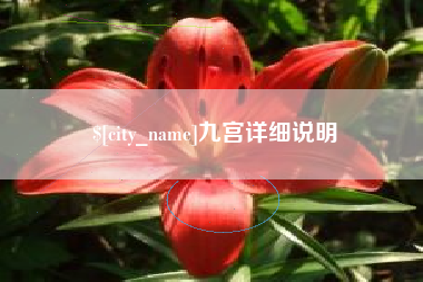新泰九宫详细说明
