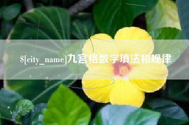 新泰九宫格数字填法和规律
