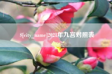 新泰2021年九宫对照表