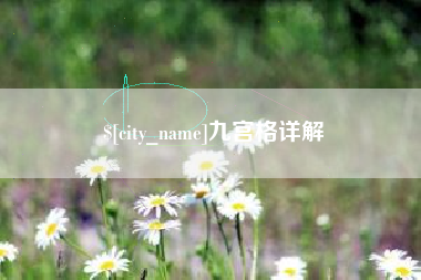 新泰九宫格详解