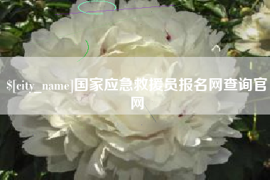新泰国家应急救援员报名网查询官网