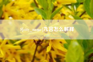 新泰九宫怎么解释