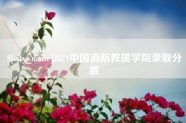 新泰2021中国消防救援学院录取分数