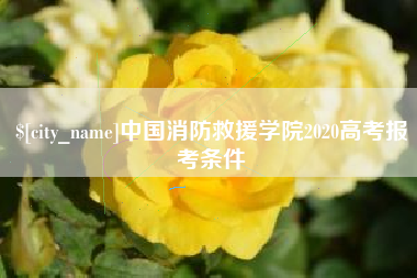 新泰中国消防救援学院2020高考报考条件