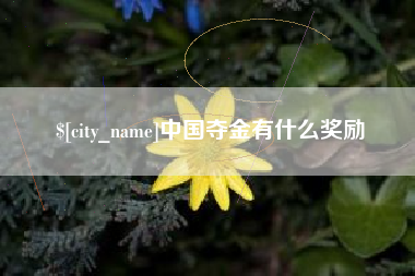 新泰中国夺金有什么奖励