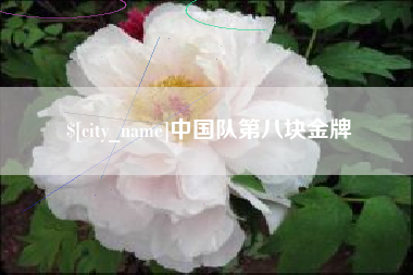 新泰中国队第八块金牌