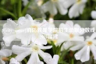 新泰消防救援学院招生录取分数线2020福建