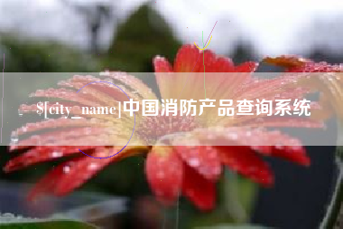 新泰中国消防产品查询系统