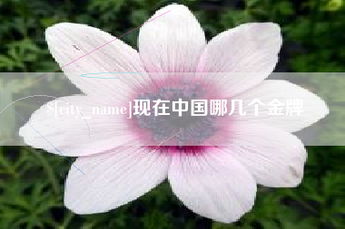 新泰现在中国哪几个金牌