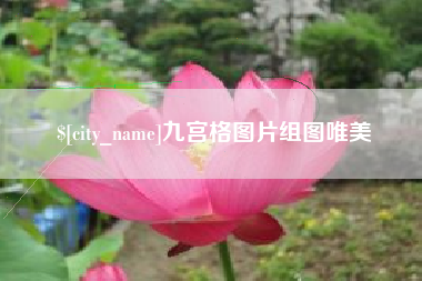 新泰九宫格图片组图唯美