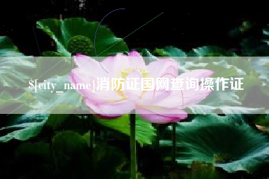 新泰消防证国网查询操作证