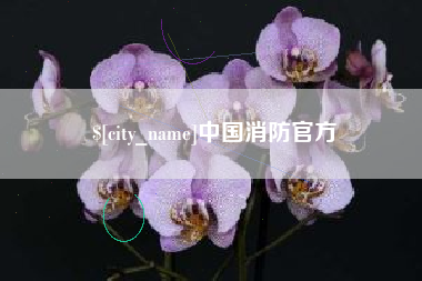 新泰中国消防官方