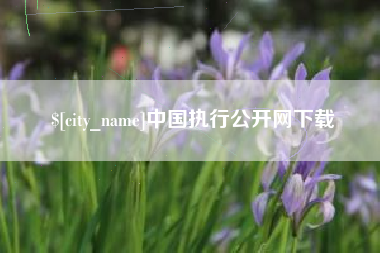 新泰中国执行公开网下载
