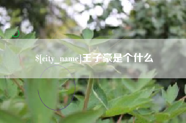 新泰王子豪是个什么