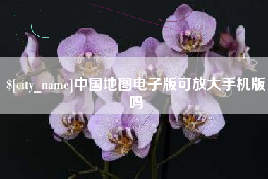 新泰中国地图电子版可放大手机版吗