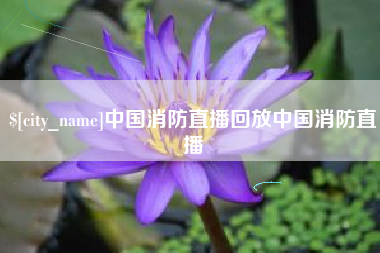 新泰中国消防直播回放中国消防直播