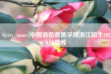 新泰中国消防救援学院浙江招生2020分数线