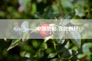 新泰中国地图(含比例尺)