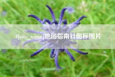 新泰地图指南针图标图片