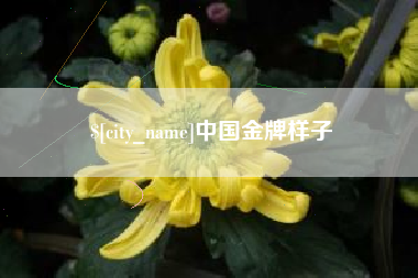 新泰中国金牌样子