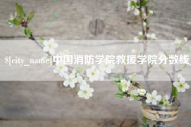 新泰中国消防学院救援学院分数线