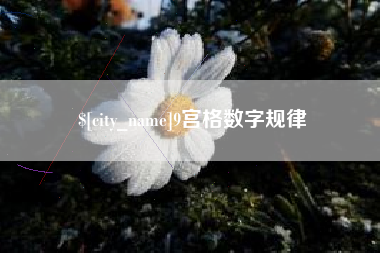 新泰9宫格数字规律