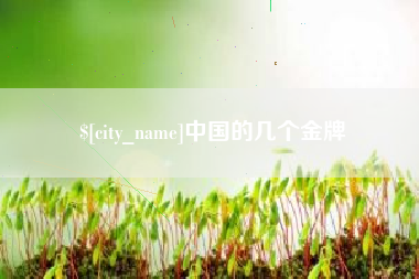 新泰中国的几个金牌