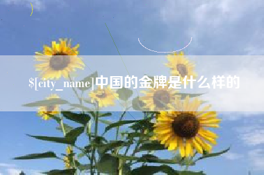 新泰中国的金牌是什么样的
