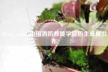 新泰中国消防救援学院招生章程公布!