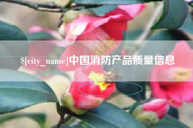 新泰中国消防产品质量信息