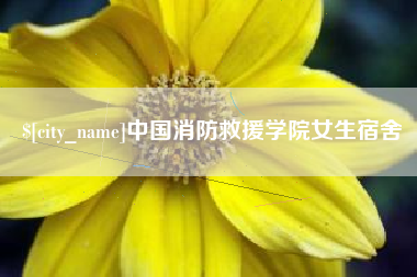 新泰中国消防救援学院女生宿舍