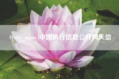 新泰中国执行信息公开网失信