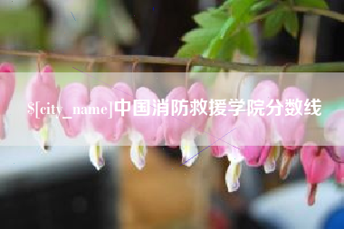 新泰中国消防救援学院分数线