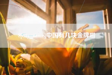 新泰中国有几块金牌啦