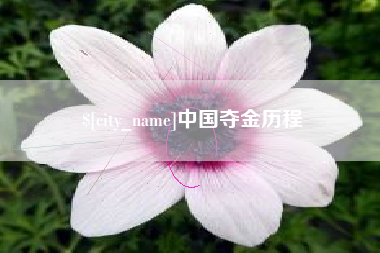 新泰中国夺金历程