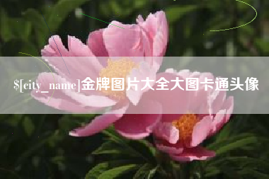 新泰金牌图片大全大图卡通头像