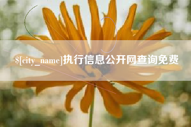 新泰执行信息公开网查询免费