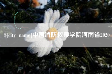 新泰中国消防救援学院河南省2020